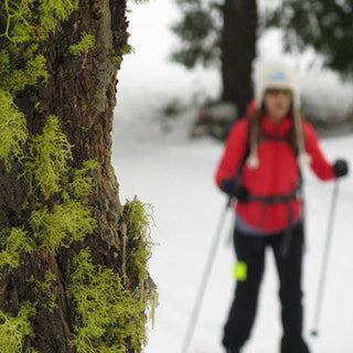 Re-Treated with Nuu-Muu