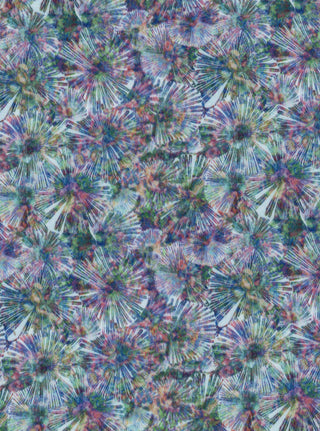 Wish Ruu-Muu - Nuu-Muu